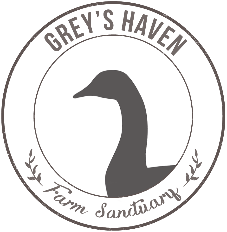Greys Haven Farm Sanctuary Logo